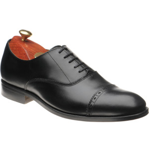 Model 65 semi-brogues