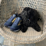 Ensign Trainer rubber-soled trainers