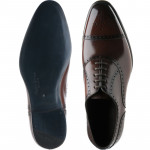 Sloane semi-brogues