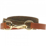Barney Dog Lead