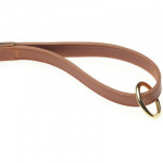 Herring Barney Dog Lead