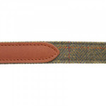 Herring Barney Dog Lead