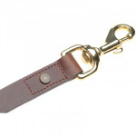 Herring Petra Dog Lead