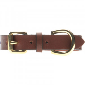 Shep Dog collar