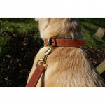 Herring Bonnie Dog Collar