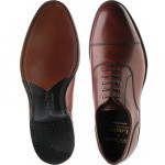 Stonegate Oxfords